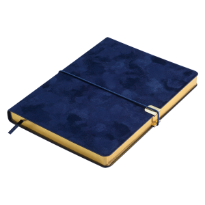 Щоденник недатований Buromax VELOUR A5 336 сторінок BM.20770-10