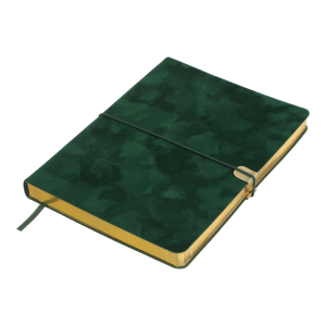 Щоденник недатований Buromax VELOUR A5 336 сторінок BM.20770-10