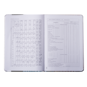 Школьный дневник BALLERINA, В5, 48 листов, твердая обложка, ZiBi ZB.13200-10 - Фото 2