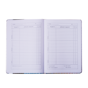 Школьный дневник BALLERINA, В5, 48 листов, твердая обложка, ZiBi ZB.13200-10 - Фото 4