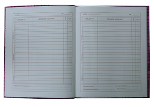 Дневник школьный SUPER POWER, A5+, 40 листов, интегральная обложка, матовая ламининация ZiBi ZB.13910 - Фото 4