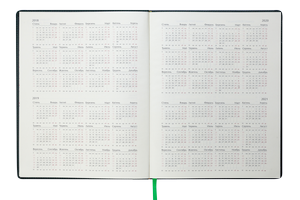Щотижневик датований 2020 SALERNO, A4, 136 стор., BUROMAX BM.2781 - колір: зелений