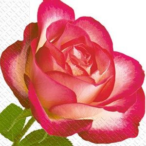 Салфетки Роза, 3 слоя, 24х24 см, 20 шт, Марго, 0126211