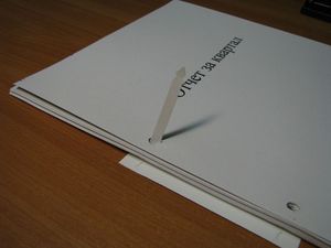 Virtus-ЗАМОК Пластиковая планка для переплета листов на 2 кольца стопой до 100 листов - Фото 2