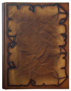 Візитниця настільна на рознімних кільцях 24 х 32 см 10 візиток на 1 стор натуральна шкіра Пергамент Foliant EG240