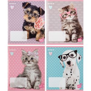 Зошит шкільний Kite Studio Pets, 12 аркушів в клітинку, SP20-232