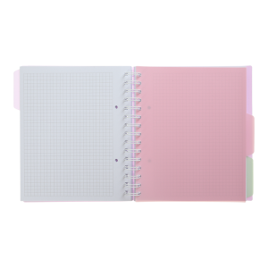 Тетрадь на пружине PASTEL В5 120 л клетка BM.24355912