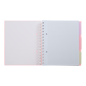 Тетрадь на пружине PASTEL В5 120 л клетка BM.24355912