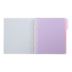 Тетрадь на пружине PASTEL В5 120 л клетка BM.24355912