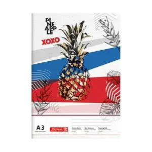 Альбом для рисования Pineapple А3 20 л 100 г/м2 Brunnen 1047913651