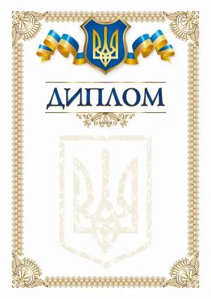 Бланк Диплом bt.000007653, Нестрогой отчетности