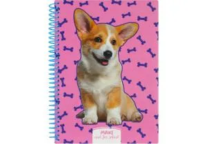 Блокнот ECONOMIX А5 пластиковая обложка спираль 80 л клетка MX21950-03, Блокноты