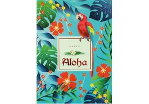 Блокнот Aloha А5 термобіндер клітина асорті Economix O20348