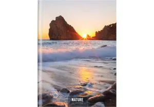 Блокнот OPTIMA Nature of Ukraine А4 тверда обкл 96 л кліт O20378-10, Блокноти