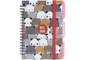 Блокнот Panda OPTIMA B6 пластиковая обкл с разделителями 100 л клетка O20358-12, Блокноты