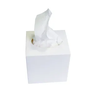 Серветки Tischa Papier косметичні BASIC білі 2-шари V-скл в коробці 22,5х19,5см S780, Серветки