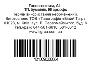 Головна книга, А4, офсет, 96 аркушів bt.000000334, Бухгалтерські книги, журнали - фото 1