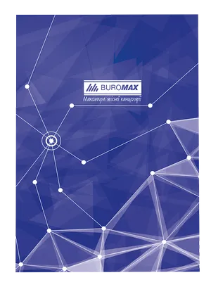 Книга обліку 96 аркушів клітинка оф.тв. лам. обкладинка А4 Buromax BM.2400 - Фото 1