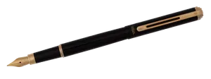 Ручка перьевая в бархатном чехле R22101.F Regal