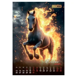 Календар настінний 2026 А3 1 пружина Buromax Symbol of the year BM.210600, Календарі