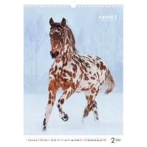 Календарь AXENT настенный А3 2026 г 8804-26 - Фото 28