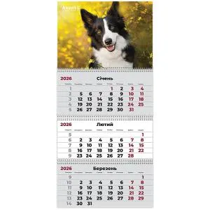 Календарь настенный квартальный 2026 AXENT Dogs 8803-26 - Фото 1