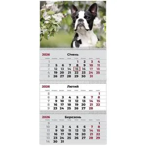 Календар настінний квартальний 2026 AXENT Dogs 8803-26, Календарі - фото 2