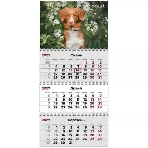 Календарь настенный квартальный AXENT 2027 Dogs 2 8803-27-11-A, Календари