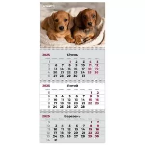 Календарь настенный квартальный 2025 3 пружины Dogs 1 AXENT 8803-25-16-A