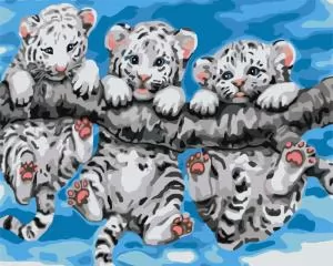 Набір, техніка акриловий живопис Маленькі тигренята 40х50 см ZiBi KIDS Line ZB.64037