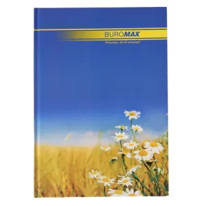Книга канцелярська Buromax CLASSIC А4 192 л клітинка офсет жорстка лам обкладинка синя BM.2401i, Книги обліку