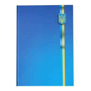 Книга канцелярська Buromax UKRAINE А4 96 л клітинка офсет тверда лам обкладинка асорті BM.2400-38i, Книги обліку - фото 3