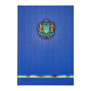 Книга канцелярська Buromax UKRAINE А4 96 л клітинка офсет тверда лам обкладинка асорті BM.2400-38i, Книги обліку
