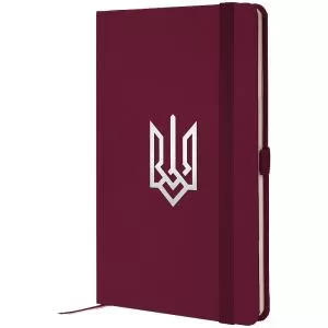 Книга записна AXENT Partner 96 арк клітинка 8201-46