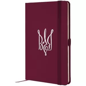 Книга записная AXENT Partner 96 л клетка 8201-46 - Фото 2