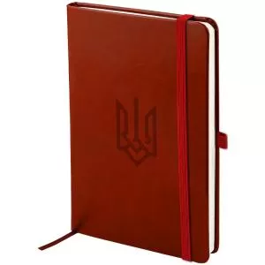 Книга записна AXENT Partner Lux 96 арк клітинка 8202-05