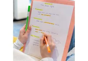 Набор текстовых маркеров SCHNEIDER SHINE-UP 4 цвета в картонной упаковке S112094, Маркеры текстовые - фото 2