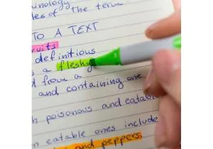 Набор текстовых маркеров SCHNEIDER SHINE-UP 4 цвета в картонной упаковке S112094, Маркеры текстовые - фото 4