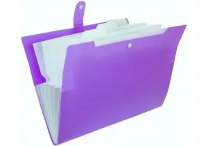 Папка Optima 6 отделений на кнопке с расширением A4 O35524, Папки-конверты - фото 5