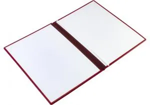 Папка тиснення OPTIMA ГЕРБ тризуб Nebraska срібло O36047-02, Папки ділові - фото 2