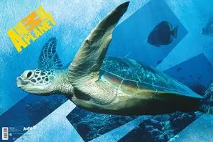 Підкладка настільна Kite AP15-212K Animal Planet, Підкладки настільні