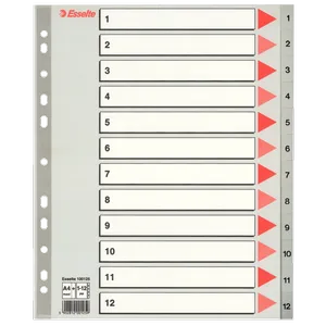 Разделители пластиковые из ПП широкие A4 Esselte 10012