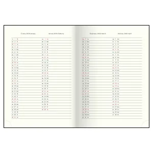 Ежедневник датированный 2026 A4 Buromax POWERFUL BM.2749, Ежедневники датированные - фото 12