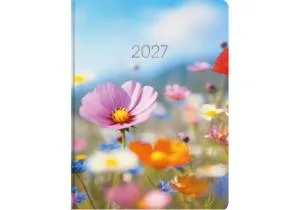 Дневник датированный А5 2026 ECONOMIX E21864, Ежедневники датированные