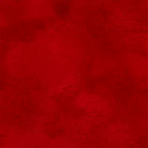 Щоденник недатований Buromax VELOUR A5 336 сторінок BM.20770-10, Щоденники недатовані - фото 28