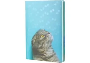 Ежедневник недатированный ECONOMIX А5 E22010, Ежедневники недатированные - фото 4