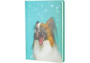 Ежедневник недатированный ECONOMIX А5 E22010, Ежедневники недатированные - фото 5