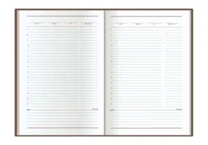 Ежедневник недатированный ECONOMIX А5 E22010, Ежедневники недатированные - фото 8