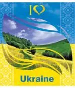 Зошит А5 48арк клітинка 2551к Україна ТА5.4811.2551 до