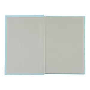 Записна книга А6 BUROMAX FAVOURITE PASTEL BM.2420 96 аркушів у клітинку - Фото 1